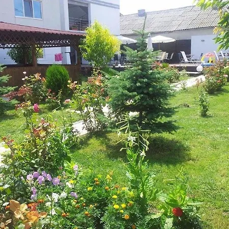 Family Room Costineşti